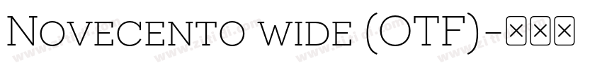 Novecento wide (OTF)字体转换